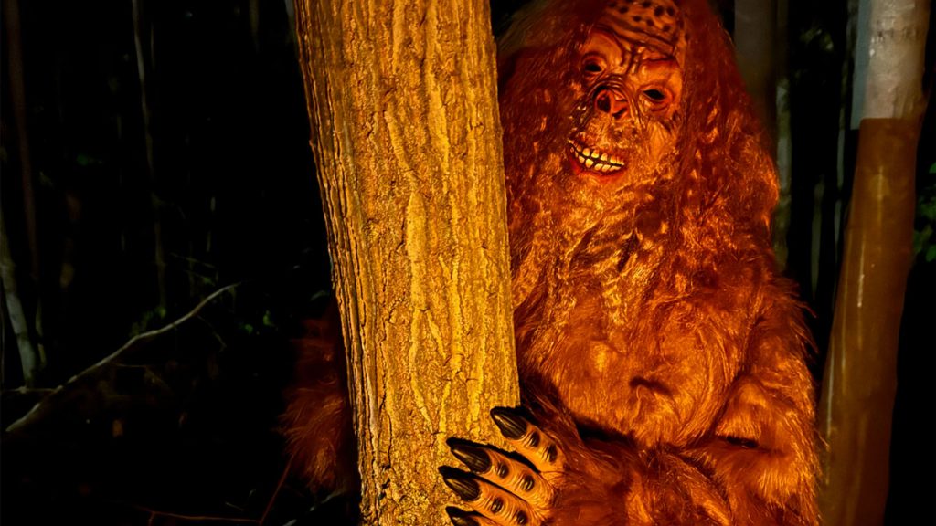 Bigfoot peeking out from behind a tree.
